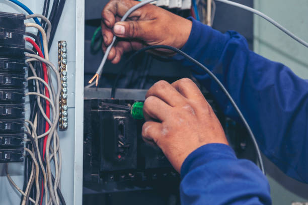 Best Local Electrician Companies  in Kewaunee, WI
